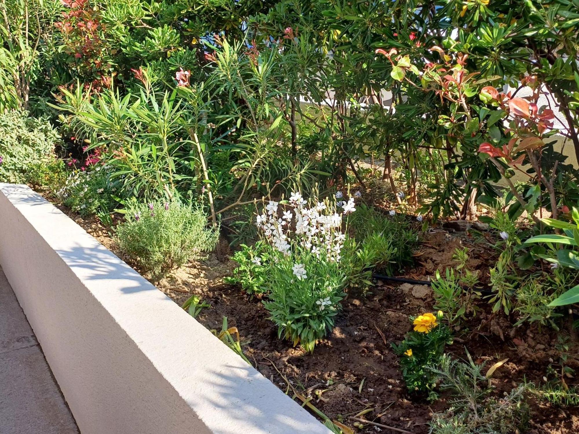 Studio Antares-1 By Interhome Cavalaire-sur-Mer Zewnętrze zdjęcie